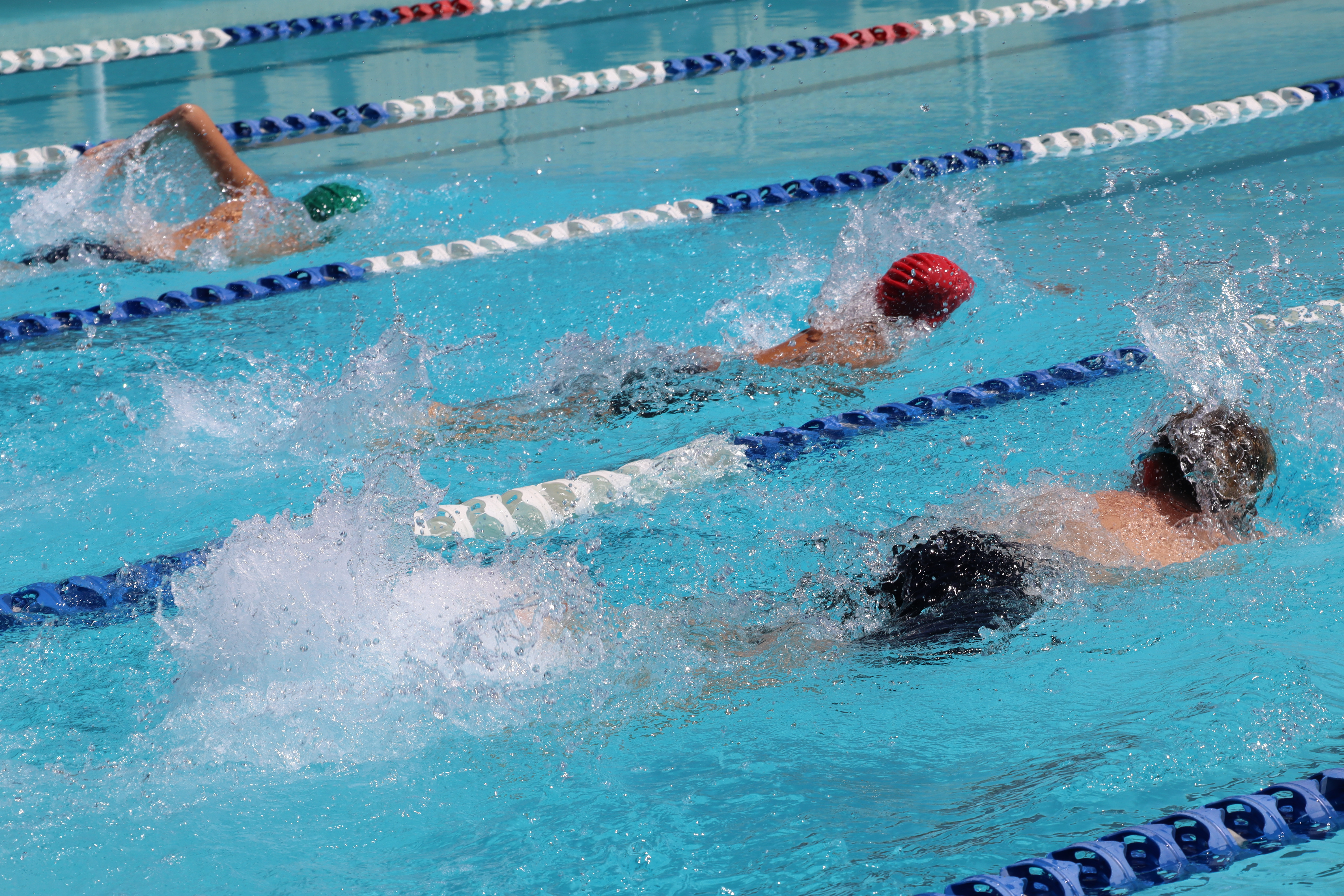 /uploaded_files/media/gallery/1774934838Mixed relay 5 - Copy.JPG